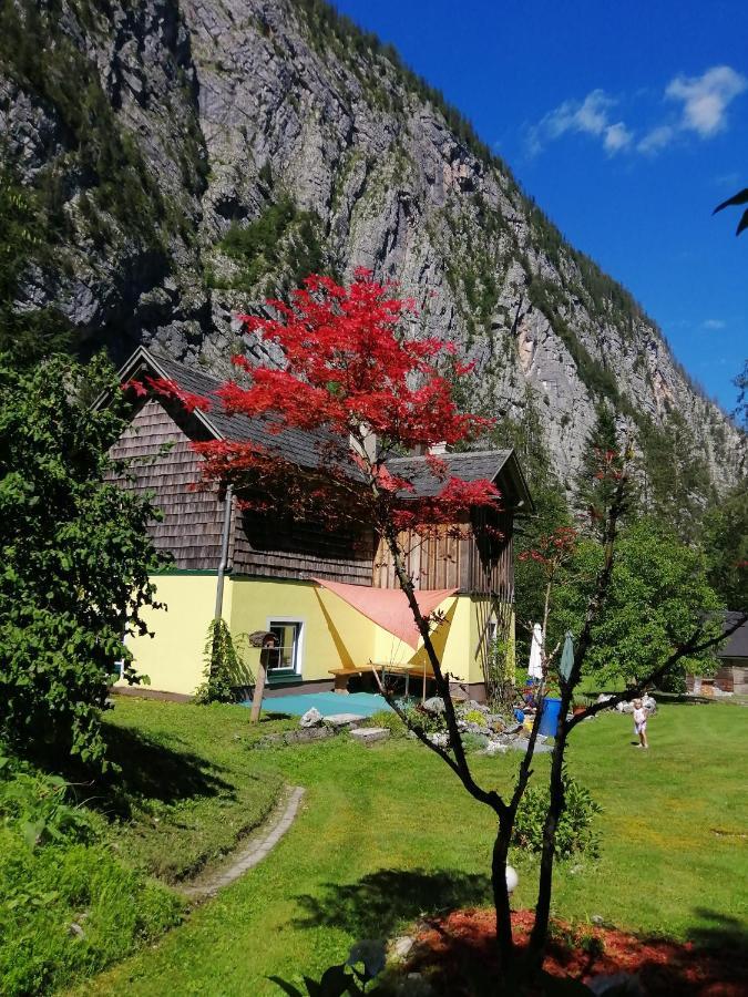 할슈타트 Haus Waldbach 빌라 외부 사진