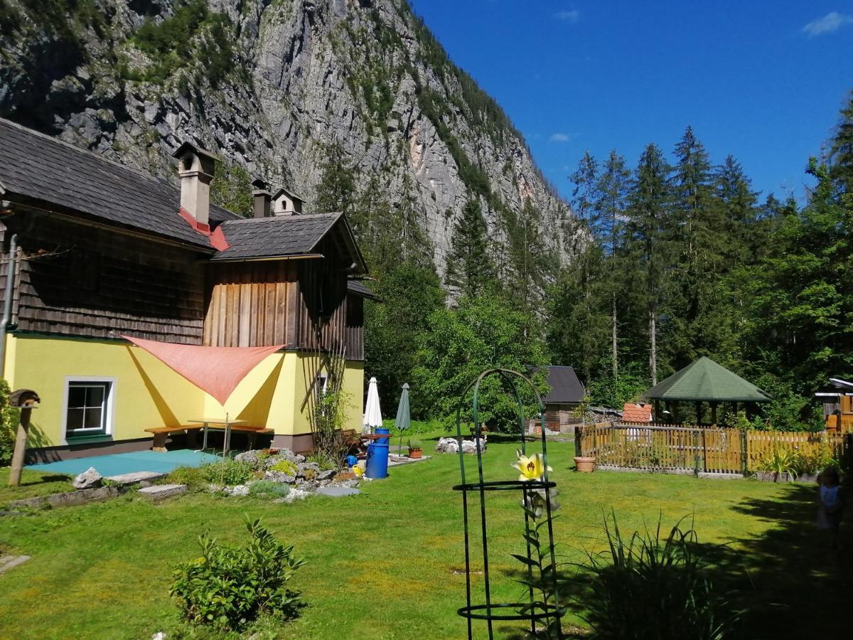 할슈타트 Haus Waldbach 빌라 외부 사진