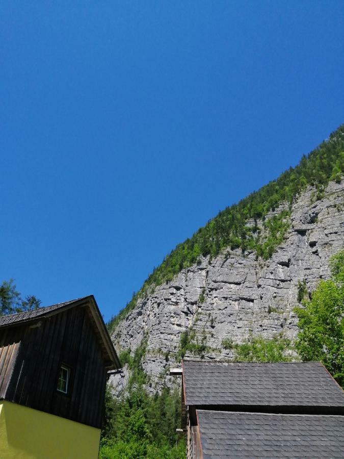 할슈타트 Haus Waldbach 빌라 외부 사진